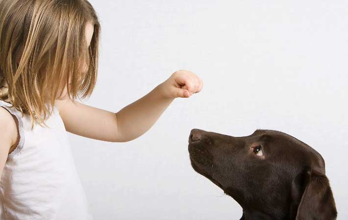 girl-holding-treat-above-dog
