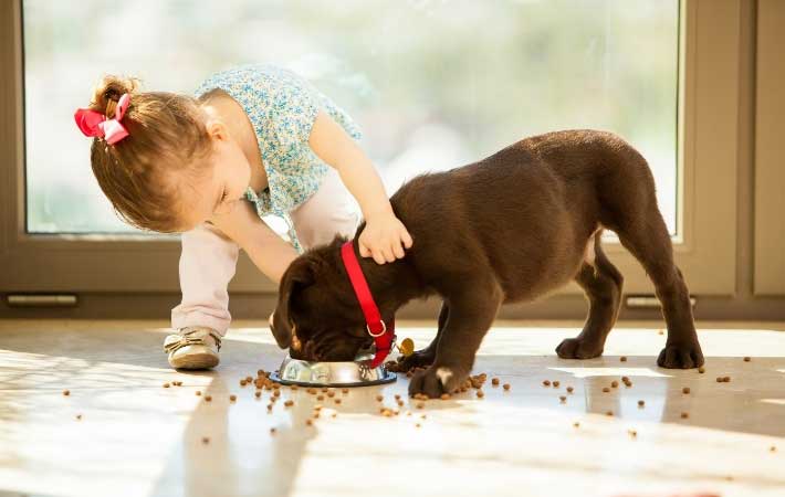 girl-showing-dog-to-food-bowl
