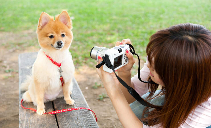 taking-photo-of-dog