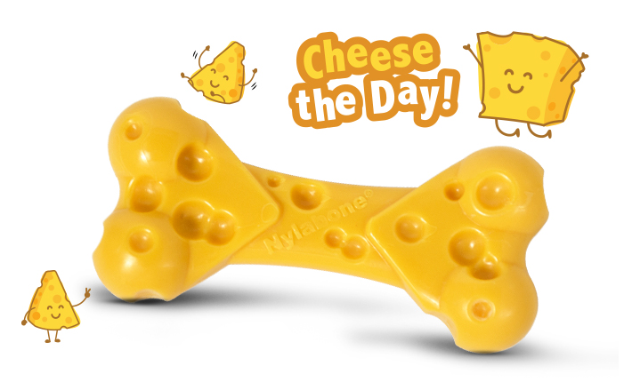 Power Chew Cheese Dog Toy out of package