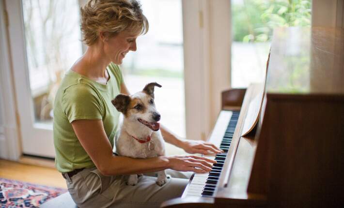 Do Dogs Like Piano Music