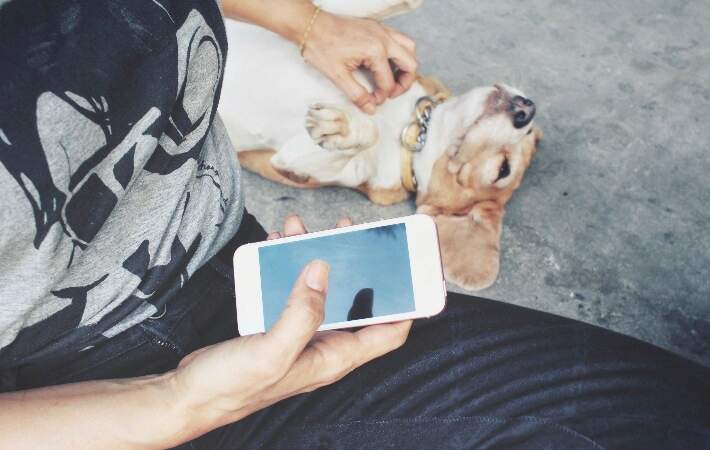 dog-getting-belly-rub