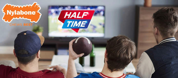 Nylabone Half Time graphic with three people on a couch watching a football game