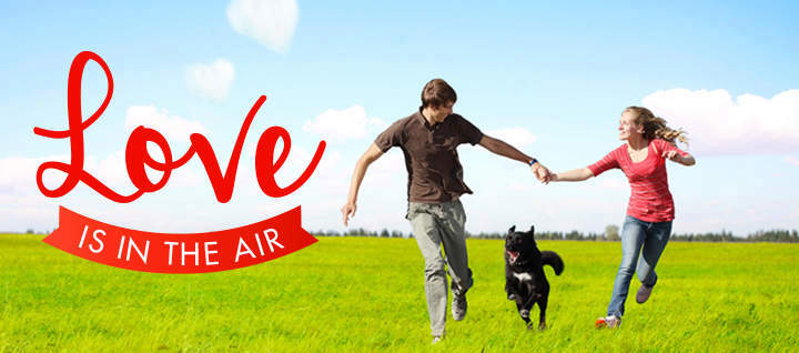 Love is in the air graphic with couple holding hands and a dog between them