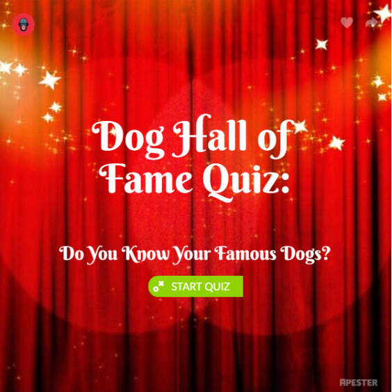 hall-of-fame-dog-quiz