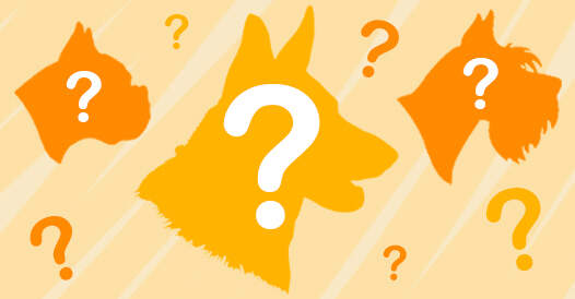 Illustrated dog silhouettes with question marks over themm