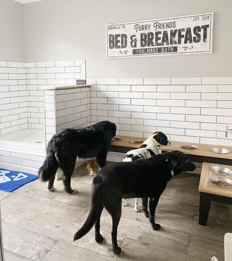 three dogs eating