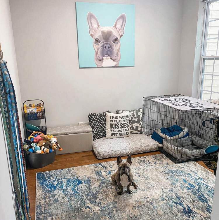 french bulldog sitting on floor