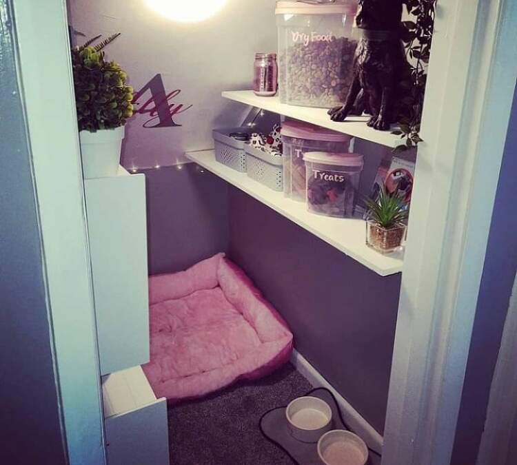 storage closet with dog decorations