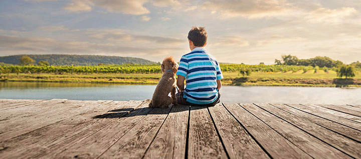 Puppy and boy sitting on a dock