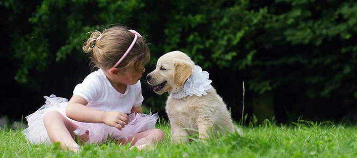 Girl and puppy sitting in grass