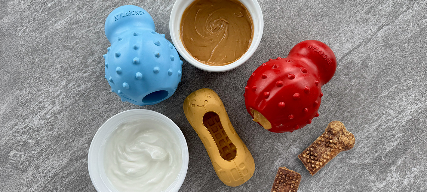 nylabone stuffable chew toy peanut butter recipe