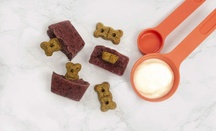 DIY Dog Toy and Frozen Treat Block with Nature's Recipe