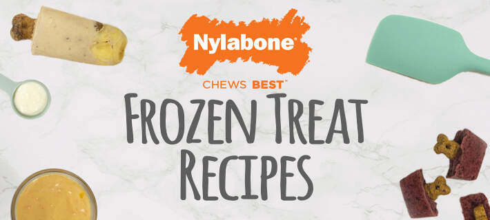 https://www.nylabone.com/-/media/project/oneweb/nylabone/images/dog101/frozen-dog-treat-recipes/websm-frzntrtrcpe-artcle1hero.jpg