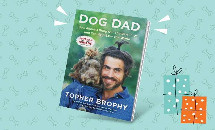 dog dad book by topher brophy