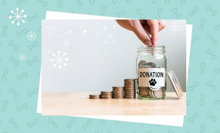 coins in pet donation jar