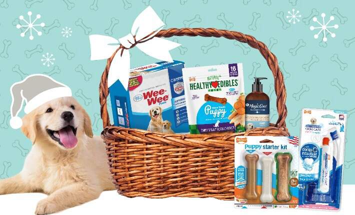 https://www.nylabone.com/-/media/project/oneweb/nylabone/images/dog101/gifts-for-dog-lovers/puppy-gift-basket.jpg