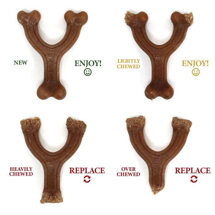 Replace Your Bone Chart