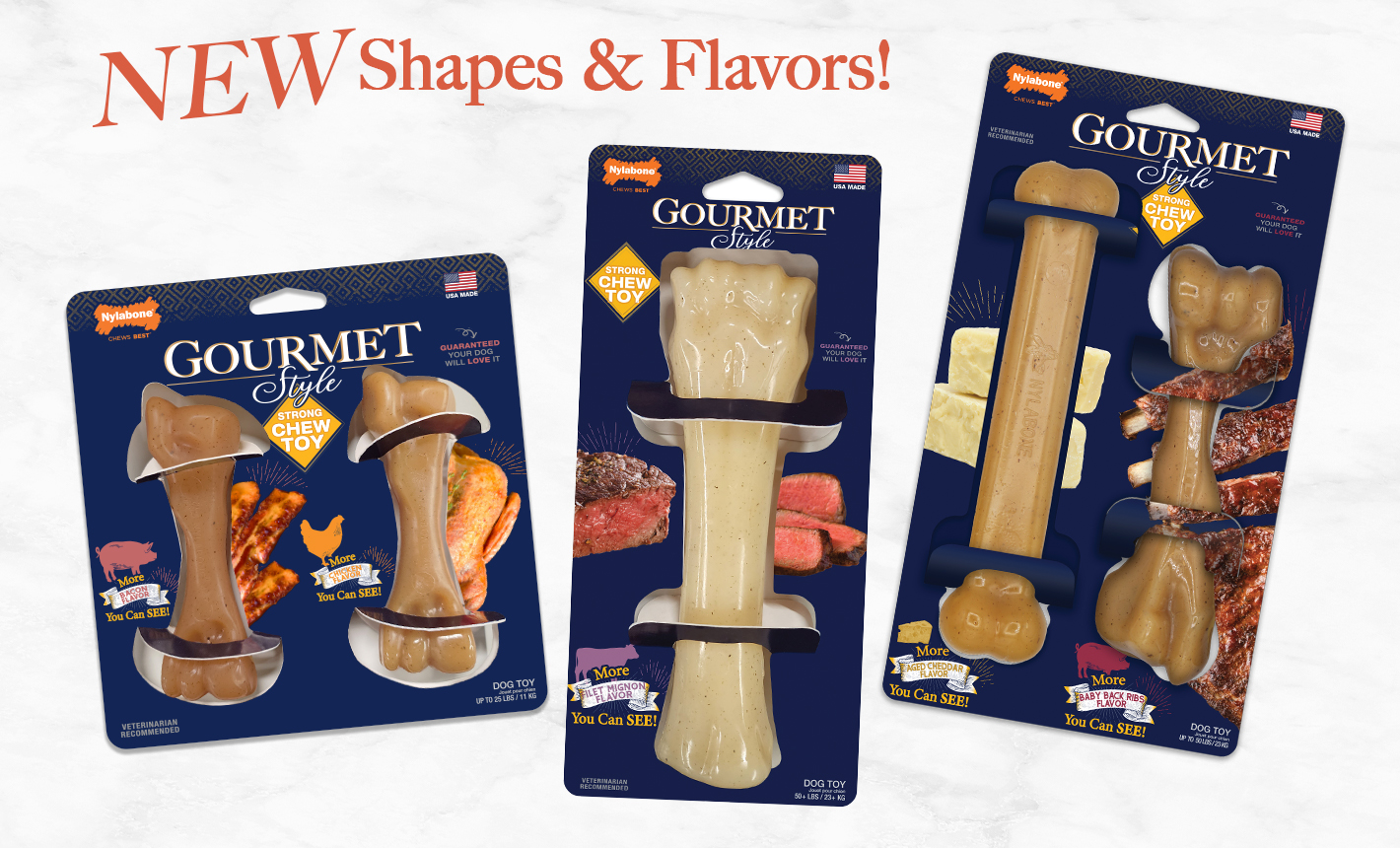 Gourmet Style Dog Chew Toys | Nylabone