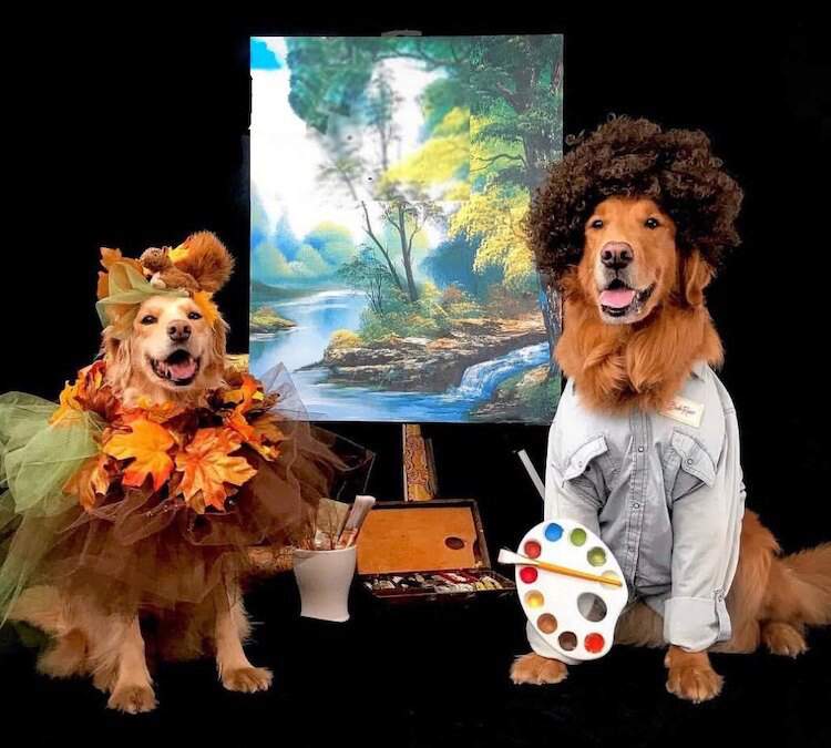 Bob Ross dog costume