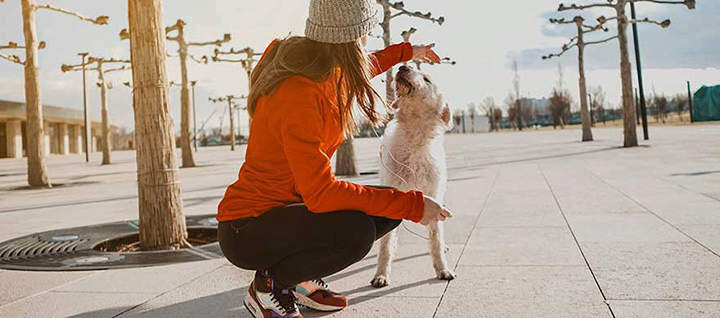 Woman and dog playing