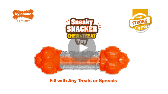 sneaky snakck video2