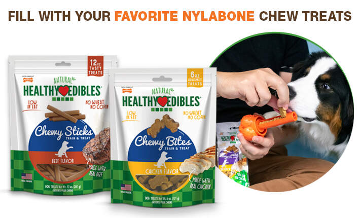 nylabone chewy bites and sneaky snacker treat toy