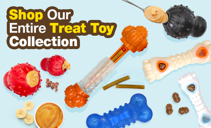 Nylabone Treat Toys family  #1