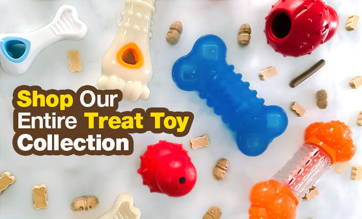 nylabone treat toys product line