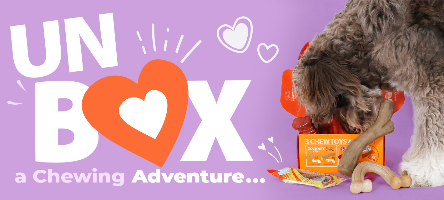 Unbox a chewing adventure graphic with a dog getting into a box