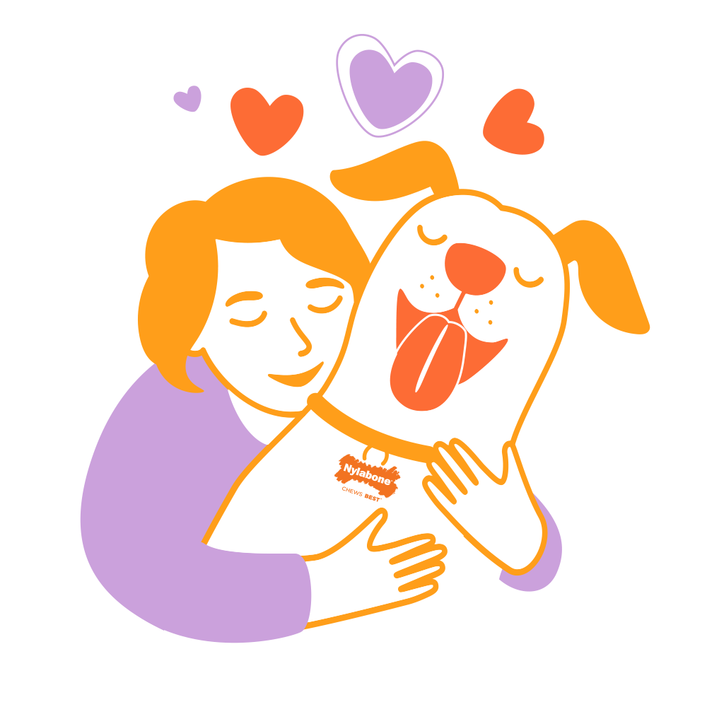 WEBSITE-LP-GiftBoxes-Icons-3_WhyNylabone