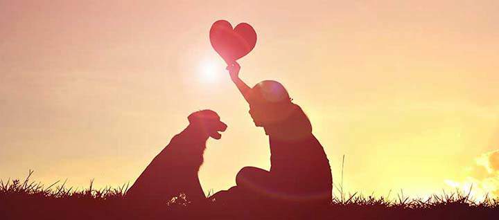 A silhouette of a person and a dog in grass with the person holding up a heart.