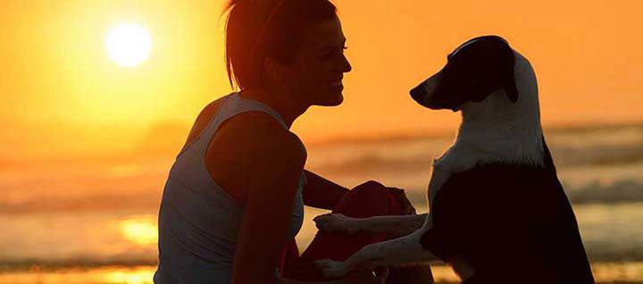 Silhouette of a woman and a dog with a sunset over the ocean in the background.