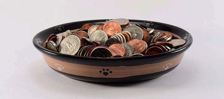 A dog bowl containing coins.
