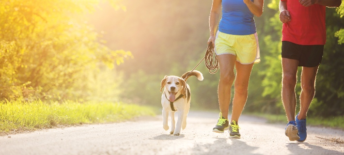 dog on leash running outdoors with owners
