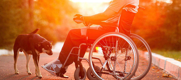 A person in a wheelchair and their dog.