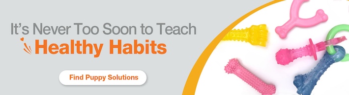 2-Puppy Solutions Banner 710x195