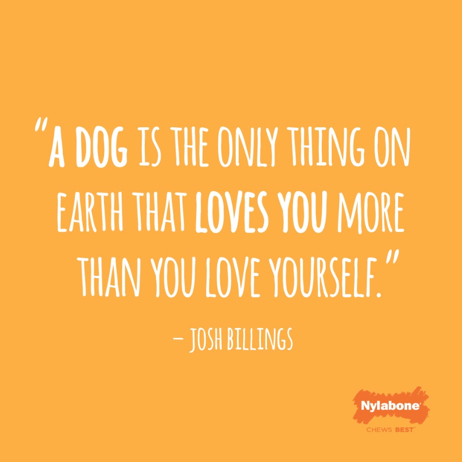 A dog is the only thing on Earth that loves you more than you love yourself