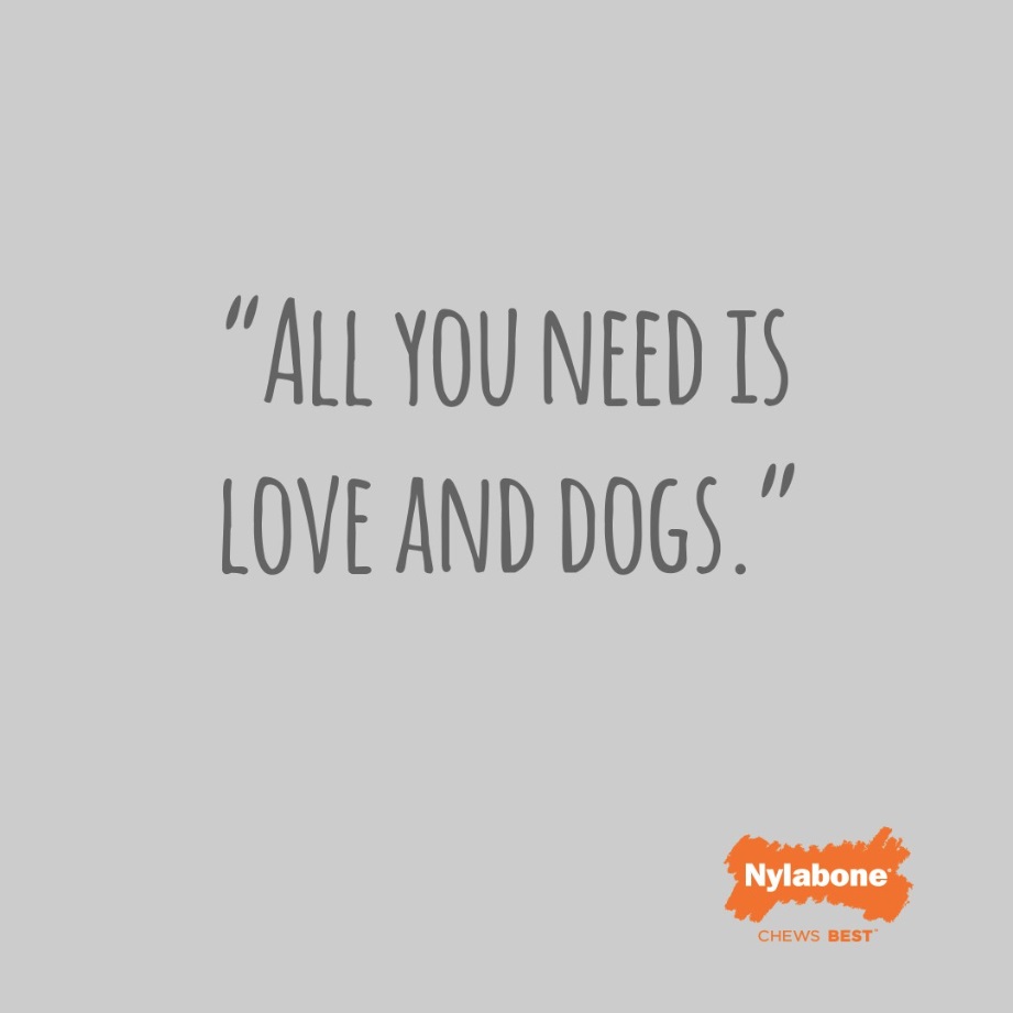 All you need is love and dogs