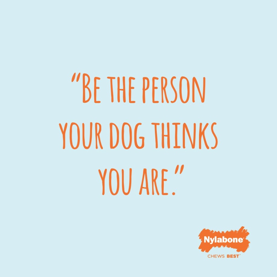 Be the person your dog thinks you are