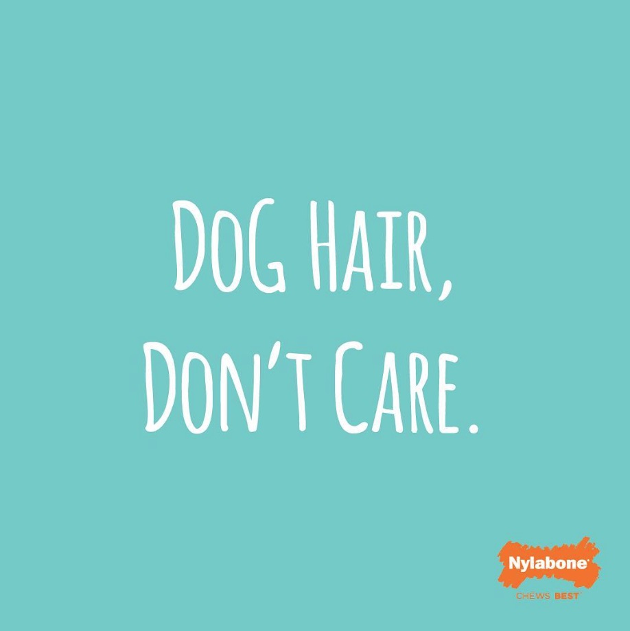 dog hair don't care