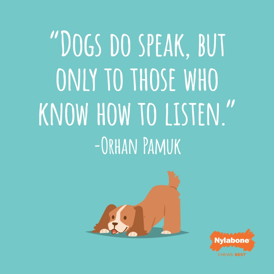 Dogs do speak but only to those who know how to listen