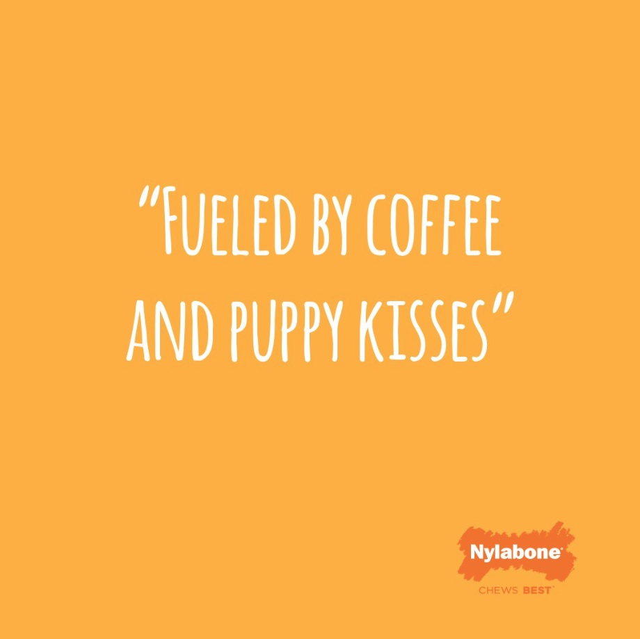 fueled by coffee and puppy kisses