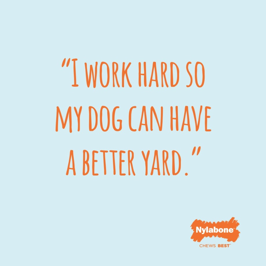 I work hard so my dog can have a better yard