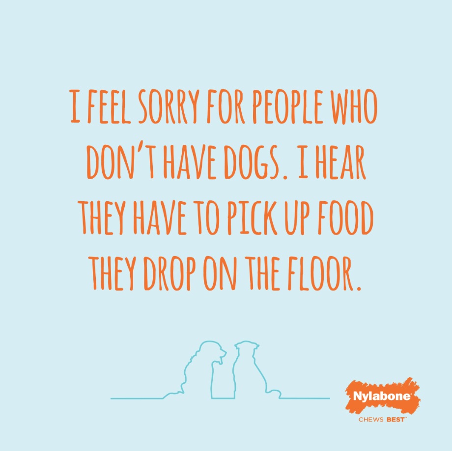 I feel sorry for people who don't have dogs. I hear they have to pick up food they drop on the floor