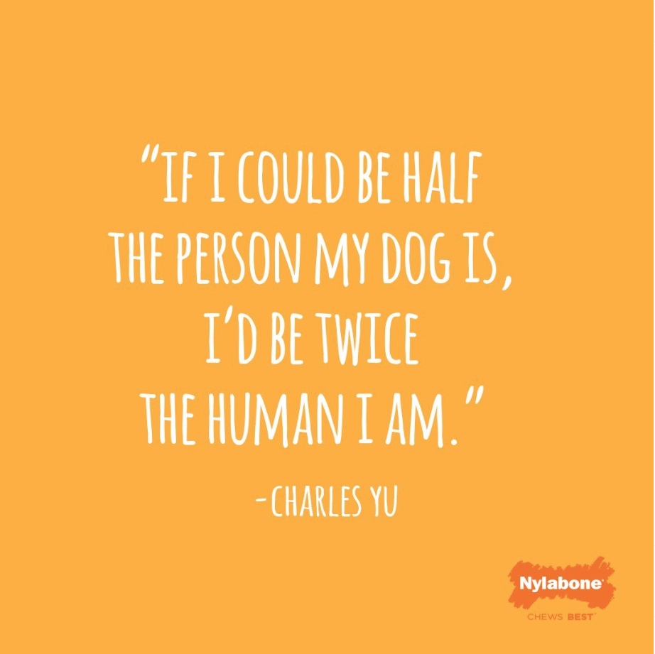 If I could be half the person my dog is I'd be twice the human I am