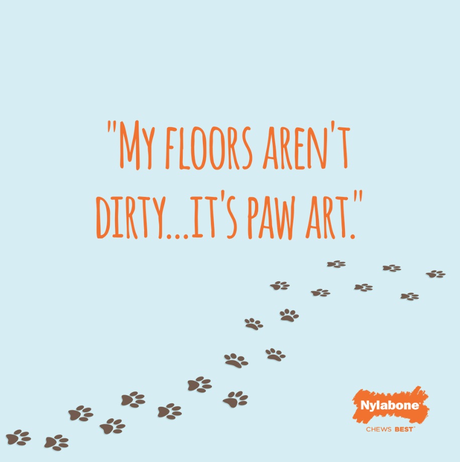 my floors aren't dirty it's paw art