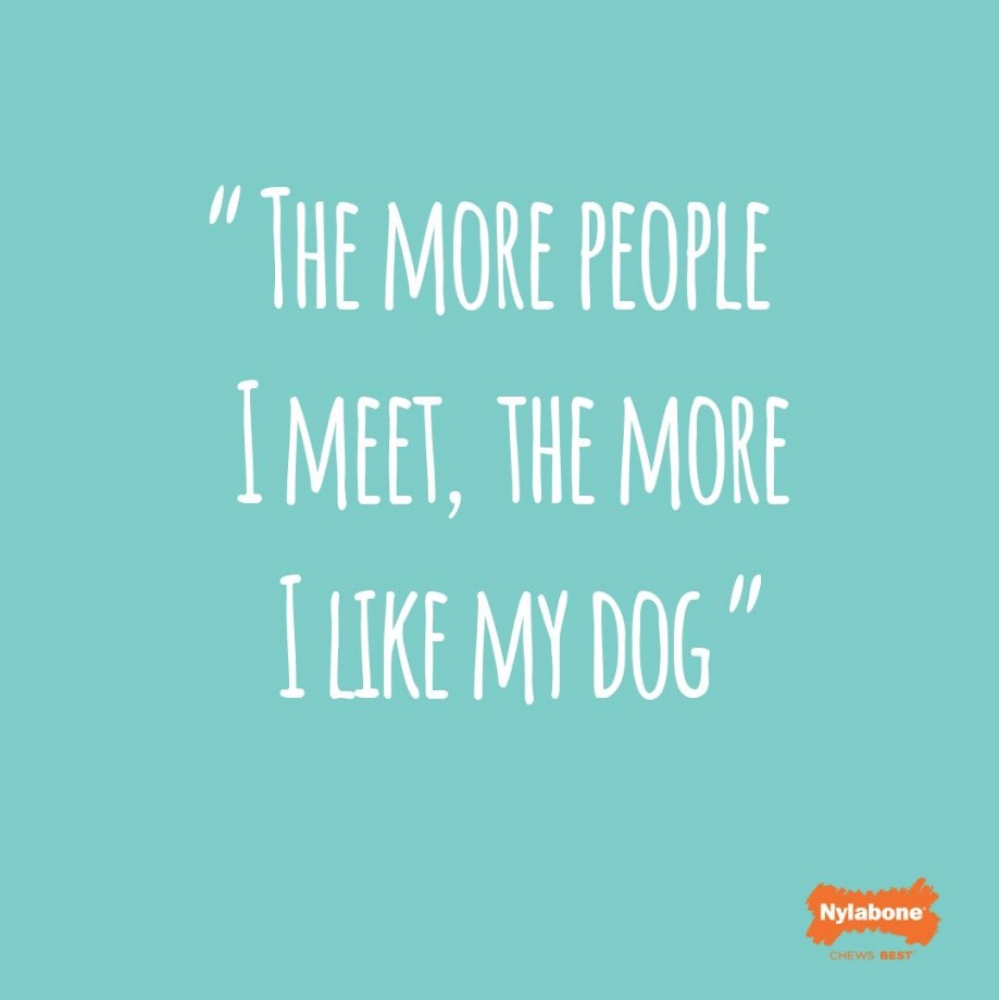the more people I meet the more I like my dog