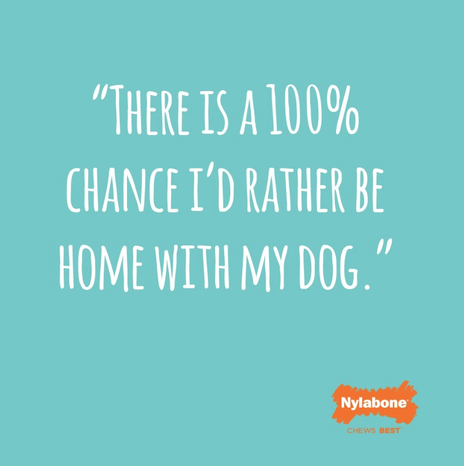 There is a 100% chance I'd rather be home with my dog
