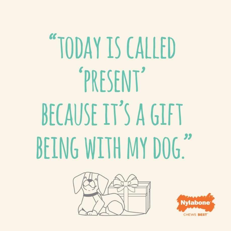 Today is called present because it's a gift being with my dog